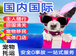 唐山三女河空运国际宠物托运 【国